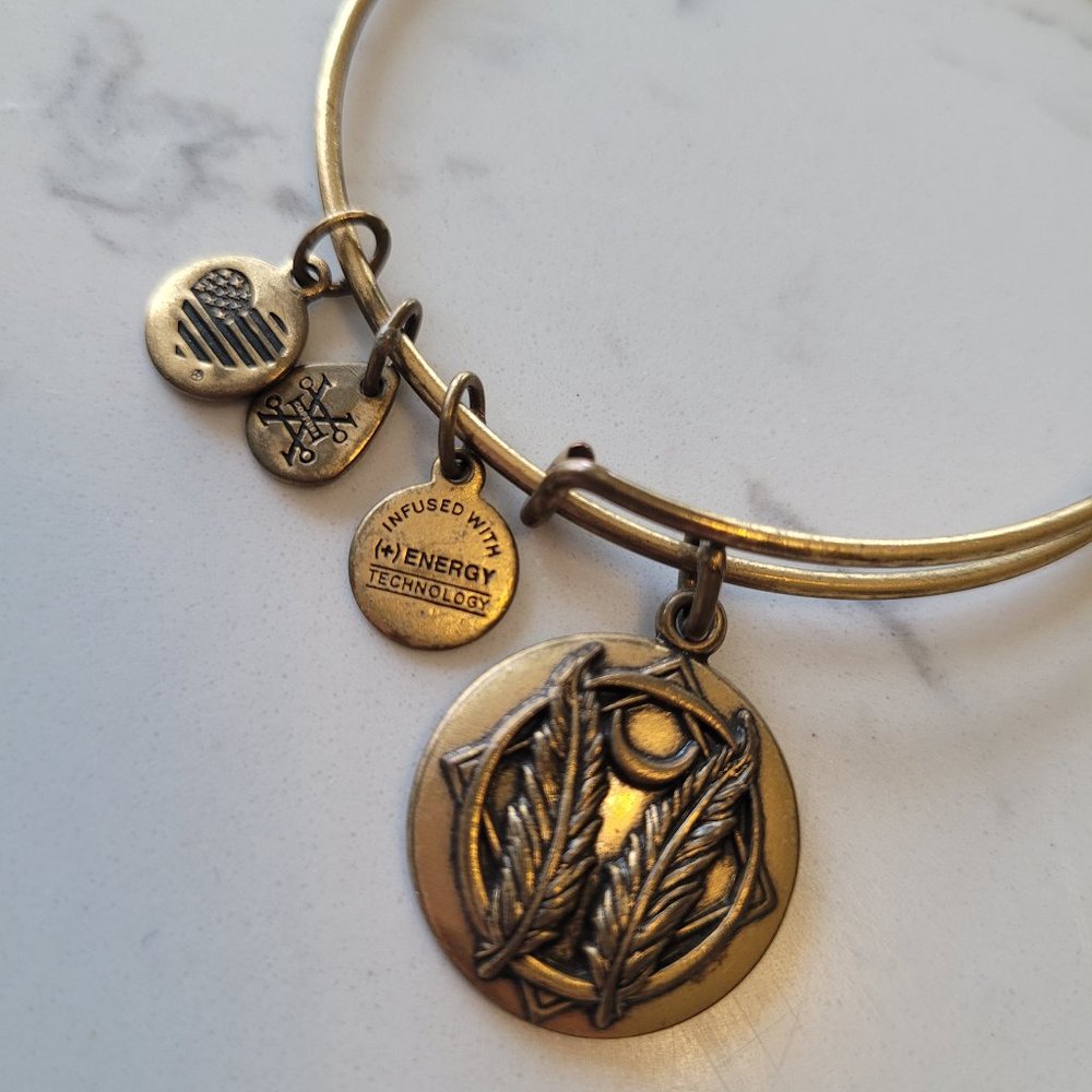 Alex and Ani Godspeed Gold Toned Charm Stackable Bangle Bracelet Adjustable Sz